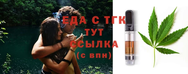 индика Михайлов