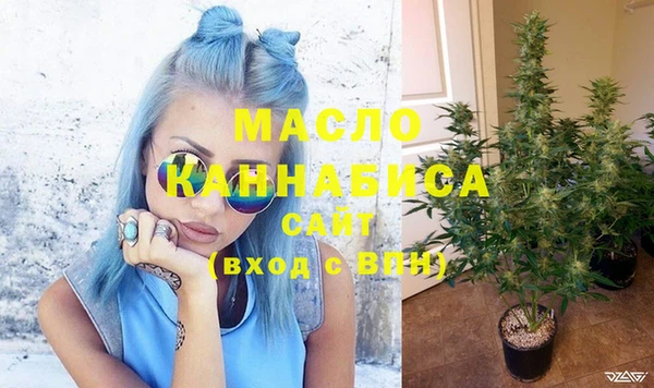 индика Михайлов