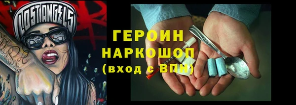 индика Михайлов