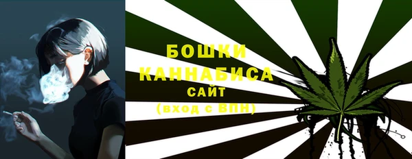 индика Михайлов