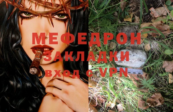 индика Михайлов
