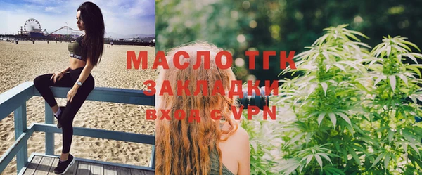 индика Михайлов