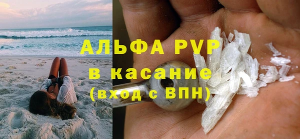 индика Михайлов