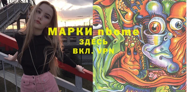 индика Михайлов