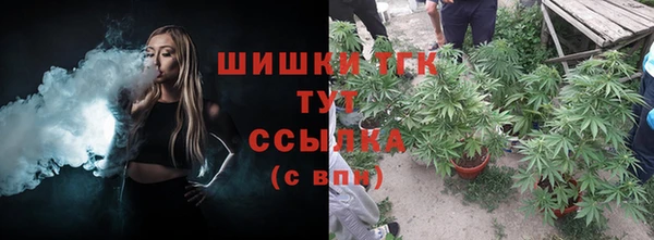 индика Михайлов