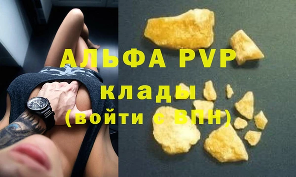 индика Михайлов