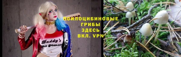 герыч Надым