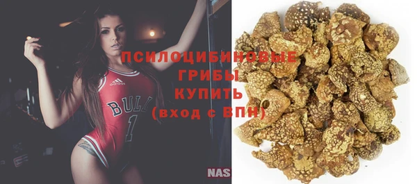 индика Михайлов
