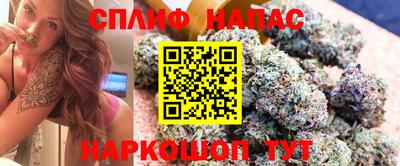 мяу мяу мука Апшеронск