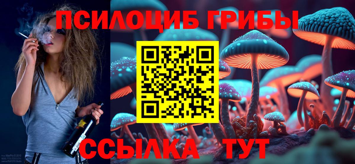Псилоцибиновые грибы мицелий  Вход с VPN  даркнет сайт  Ярославль 