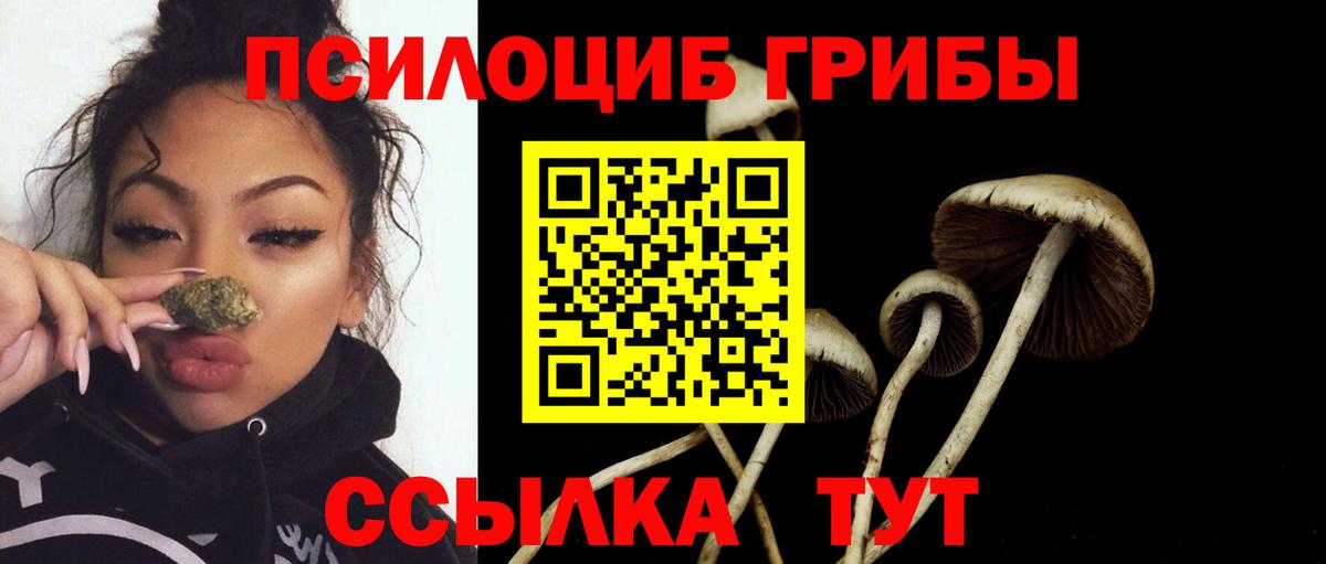 Галлюциногенные грибы Cubensis Ярославль